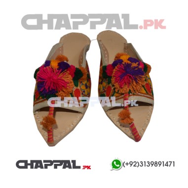 Handmade Leather Embroidered Khussa Shoes Multi Color - LAD006